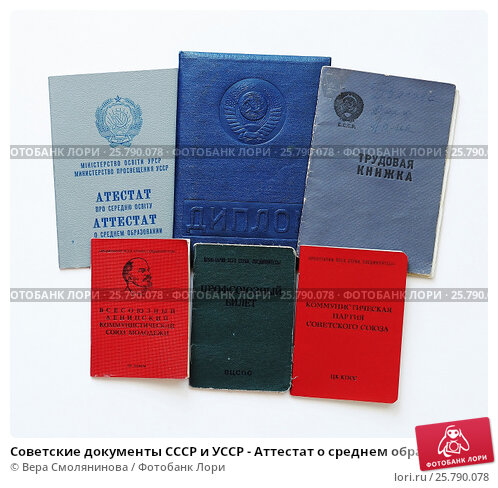 Подготовка к защите дипломной работы секреты успеха