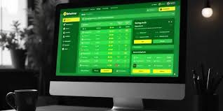 BetWinner A Comprehensive Guide to Online Betting in Cameroon