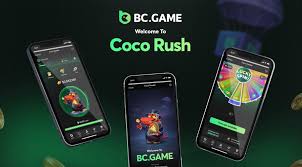 Exploring BC.Game Crypto Casino in Jordan A New Era of Online Gaming 1785257862