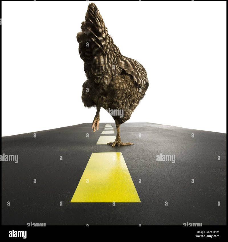 Chicken road online - Descubre el Juego Exclusivo de la Calle del Pollo en España