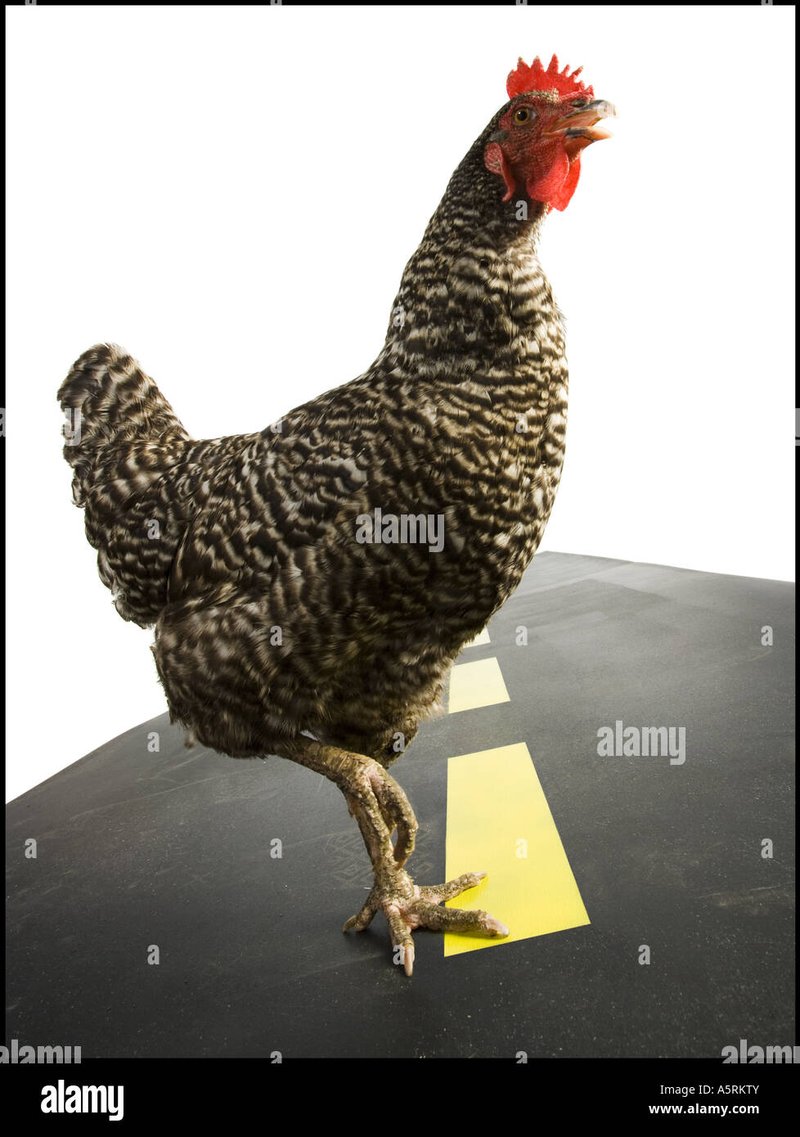Speel Nu het Populaire Chicken Road Gokspel Online in Nederland in Netherlands