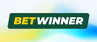 Explore the BetWinner Casino Platform Your Ultimate Online Gaming Destination