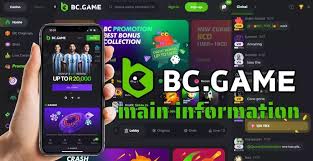 Understanding BC.Game Withdrawal Methods