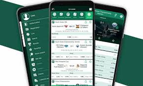 Claim Your BetWinner Bonus for Thrilling Betting Experiences