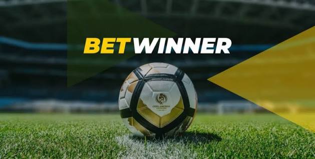 Exploring BetWinner Your Complete Guide to the Betting Experience