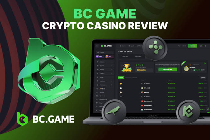 Exploring the BC.Game App A Comprehensive Guide to Online Gaming
